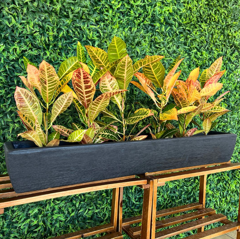 ideias para decorar jardim com pouco dinheiro