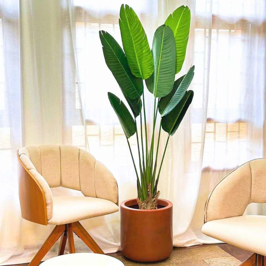 plantas artificiais para que pareçam naturais