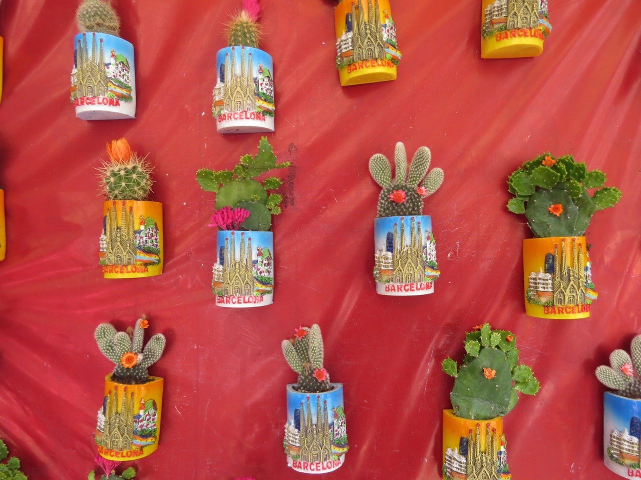 parede verde com plantas suculentas – Entendendo o conceito de parede verde com plantas suculentas