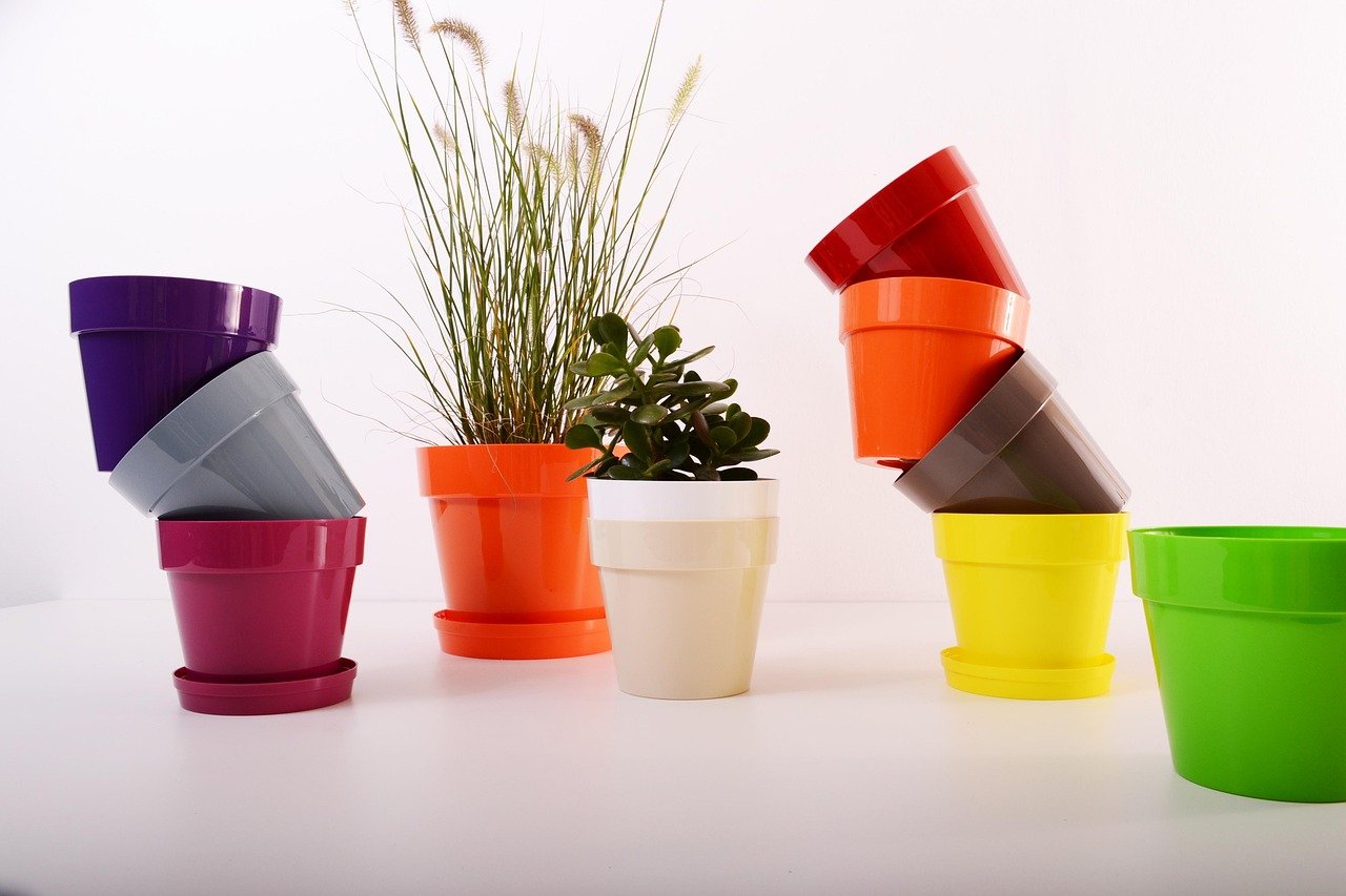 vaso plástico para cactos no jardim – O que considerar antes de escolher vaso plástico para cactos no jardim vertical