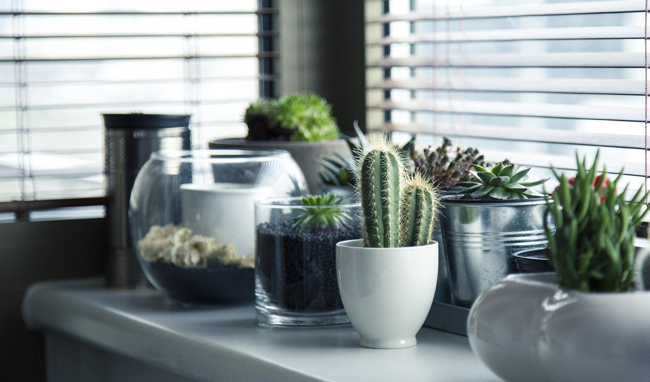 vaso de cerâmica em ambiente interno – O que é vaso de cerâmica e por que ele é tão usado em ambientes internos