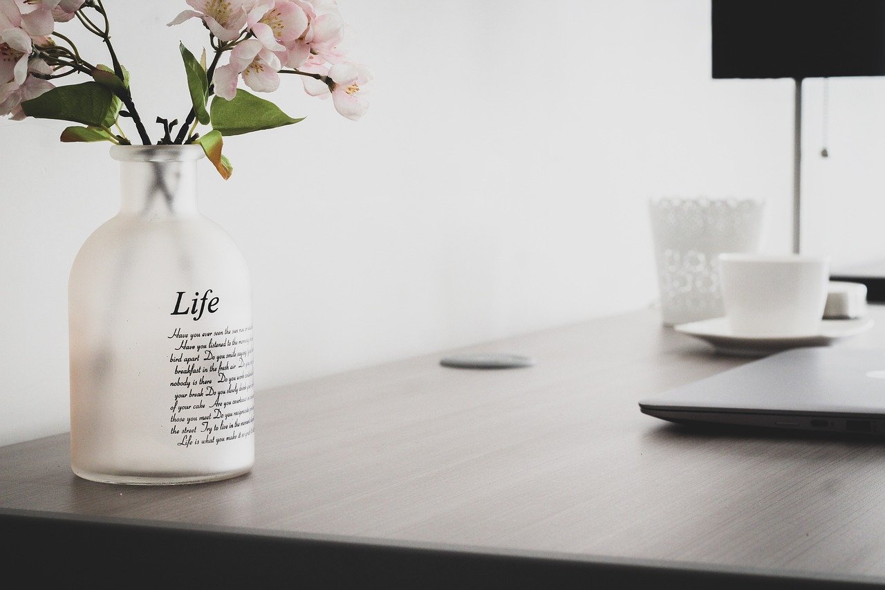 vaso autoirrigável simples vs avançado – Diferenças entre modelos de vaso autoirrigável simples e avançados