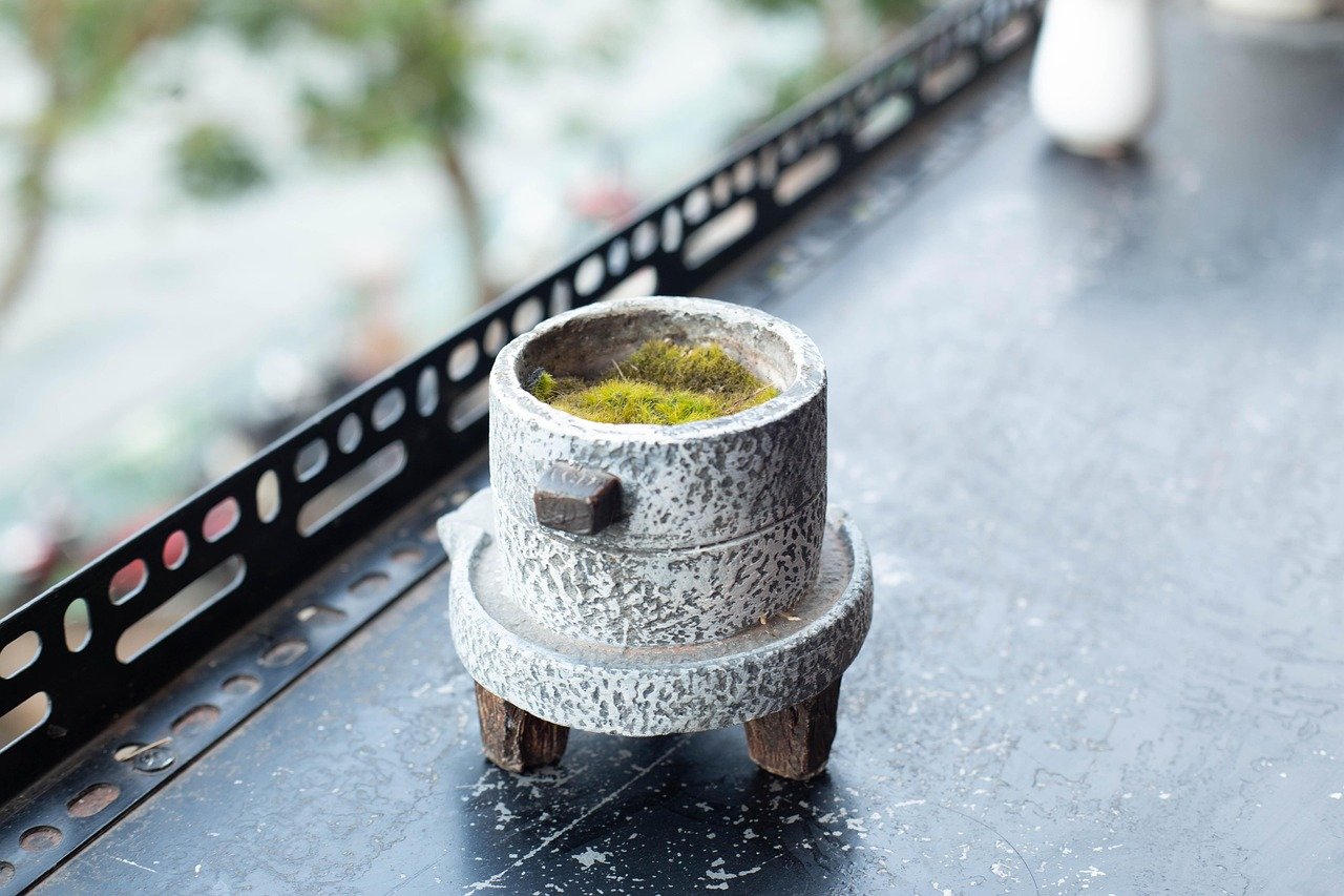 horta em vasos na varanda – Introdução à horta em vasos: temperos frescos mesmo em espaços pequenos