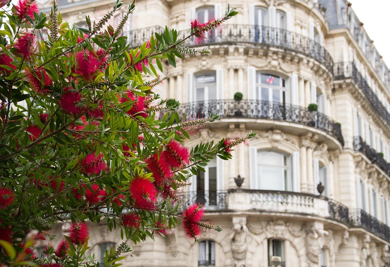 horta em vasos na varanda – Quais temperos plantar na horta em vasos da varanda