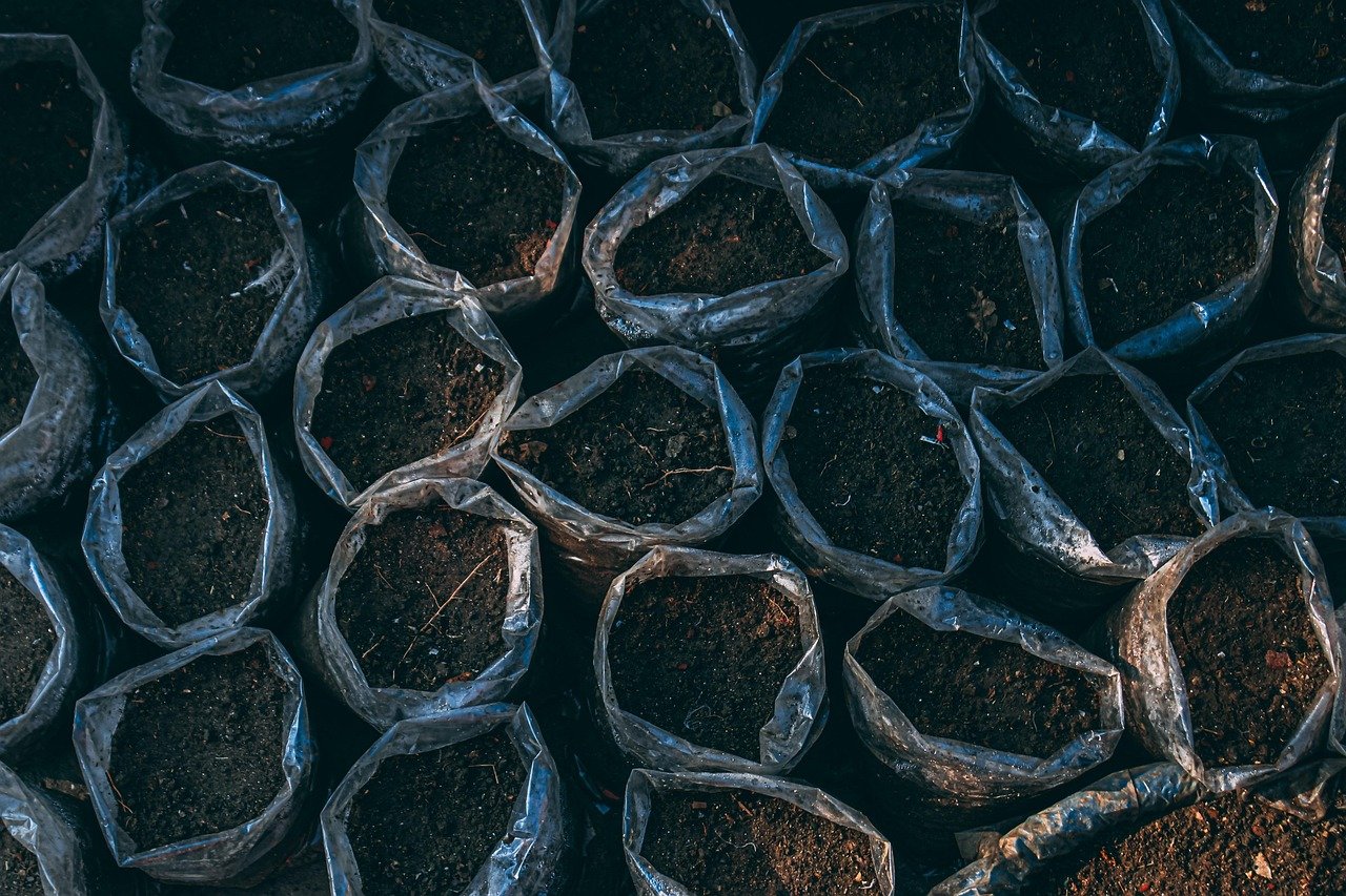 cuidados diários com horta em vasos – Cuidados diários e podas para manter a horta em vasos produtiva