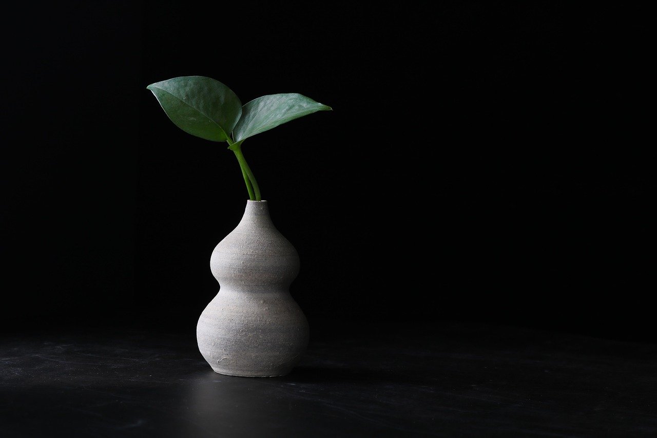 vaso quadrado drenagem eficiente – Como o vaso quadrado influencia a drenagem e a saúde das plantas