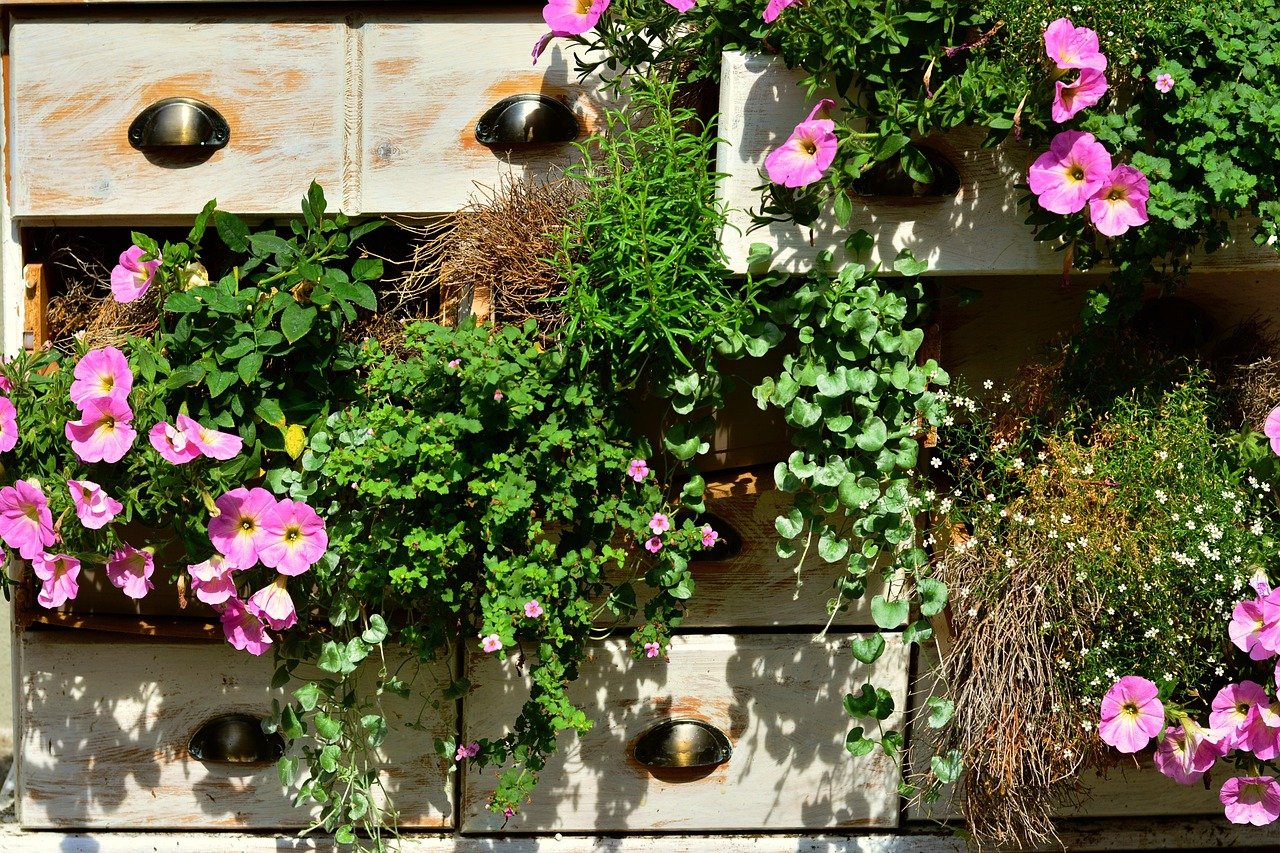 plantas no vaso para varanda pequena – Sugestões de conjuntos de plantas no vaso para varandas, janelas e jardins pequen